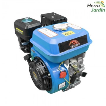 Motor BRACOG 4,8kw (6,5hp) - vista principal
