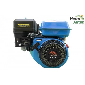 Motor BRACOG 4,8kw (6,5hp) - vista frontal