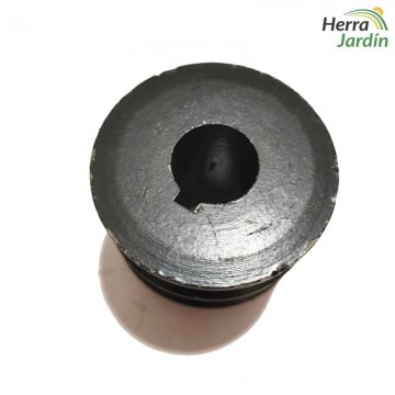 Polea para correa en V para motor OHV - vista superior