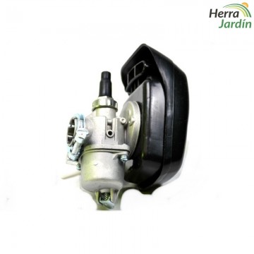 Carburador para sulfatadora modelo 3WF-3A series