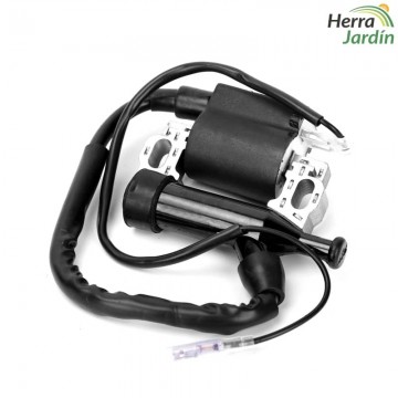 Bobina encendido - Motor - vista principal
