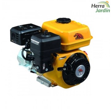 Motor BRACOG 4,1kw (5,5cv) - vista principal