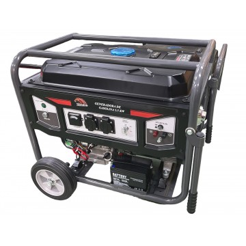 Generador BRACOG LT6500EN-5
