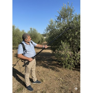 Vareador de Aceitunas a Batería BRACOG BT2A-1 - Vareando Olivos