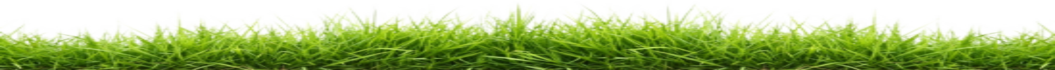 cesped